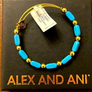 Alex and Ani Vintage Beaded Bracelet